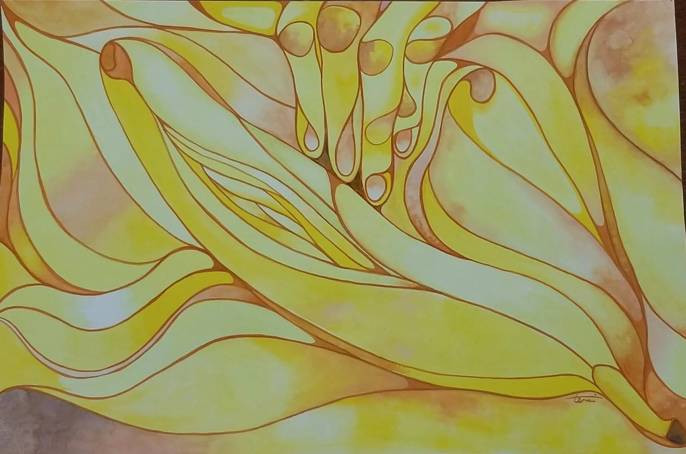 Abstract organic forms in warm yellows and golds with flowing contour lines